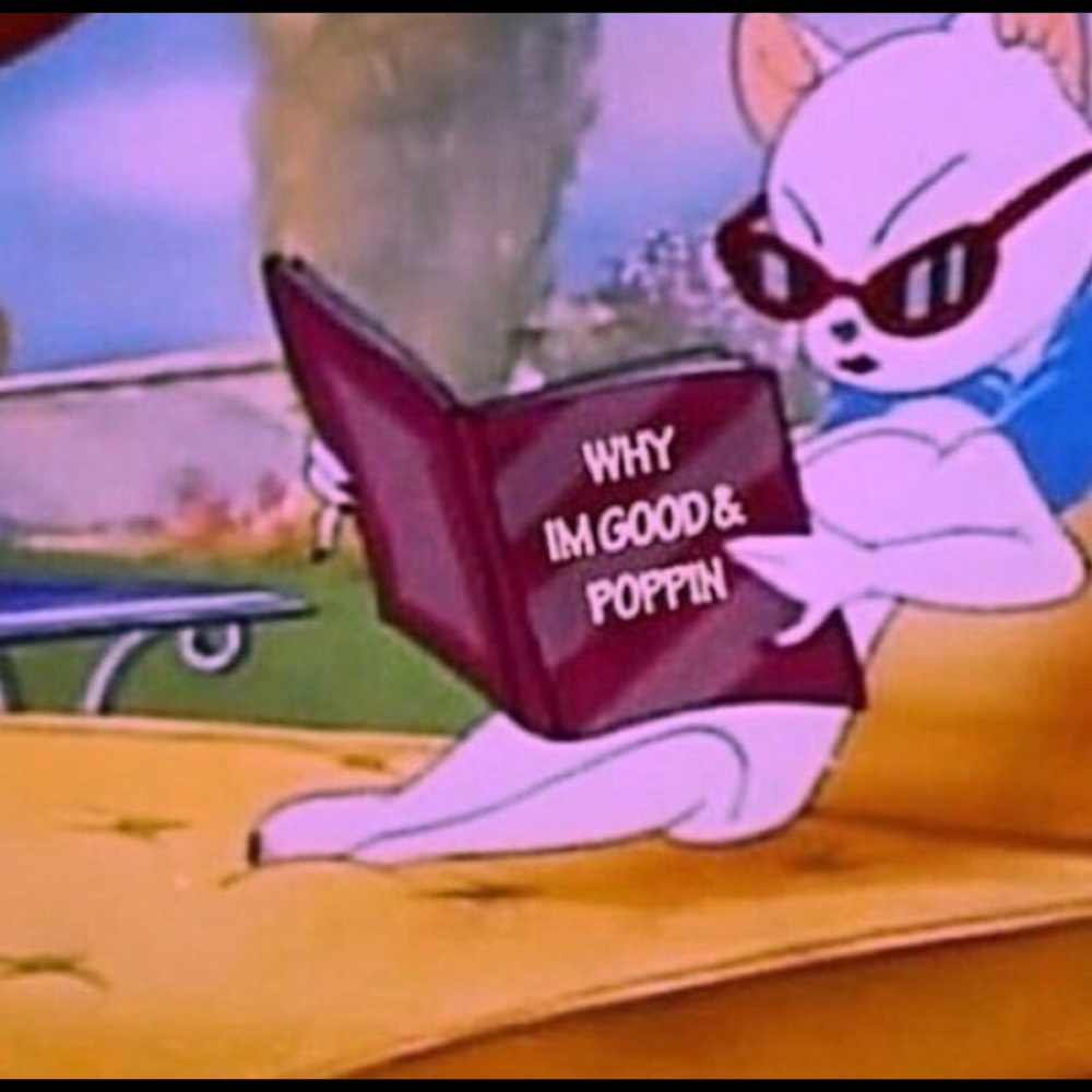 Meet your Posher, Rebbecca